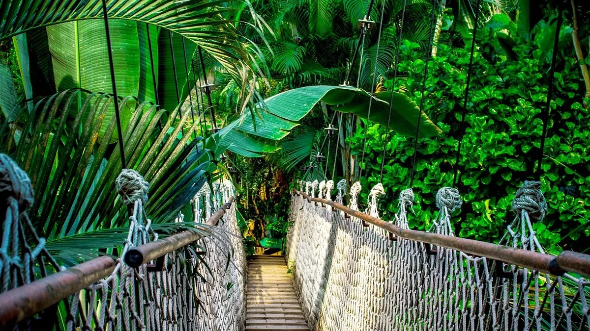赫尔美公开赛近失冠凸显老将经验价值